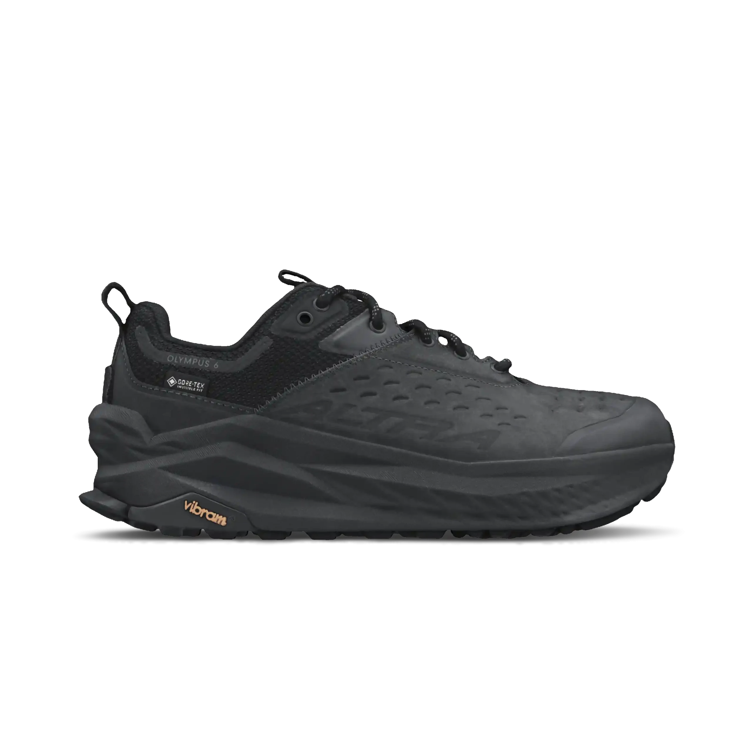Women's Olympus 6 Hike Low GTX